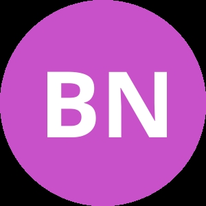 Profile photo of bram
